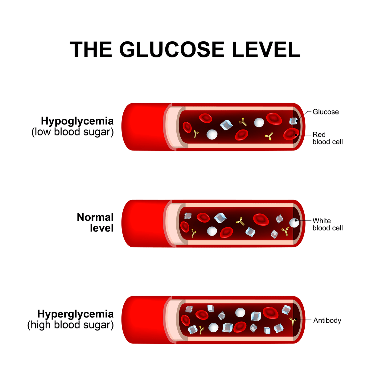 Normal Blood Sugar Level: What’s Healthy &amp; When to Worry